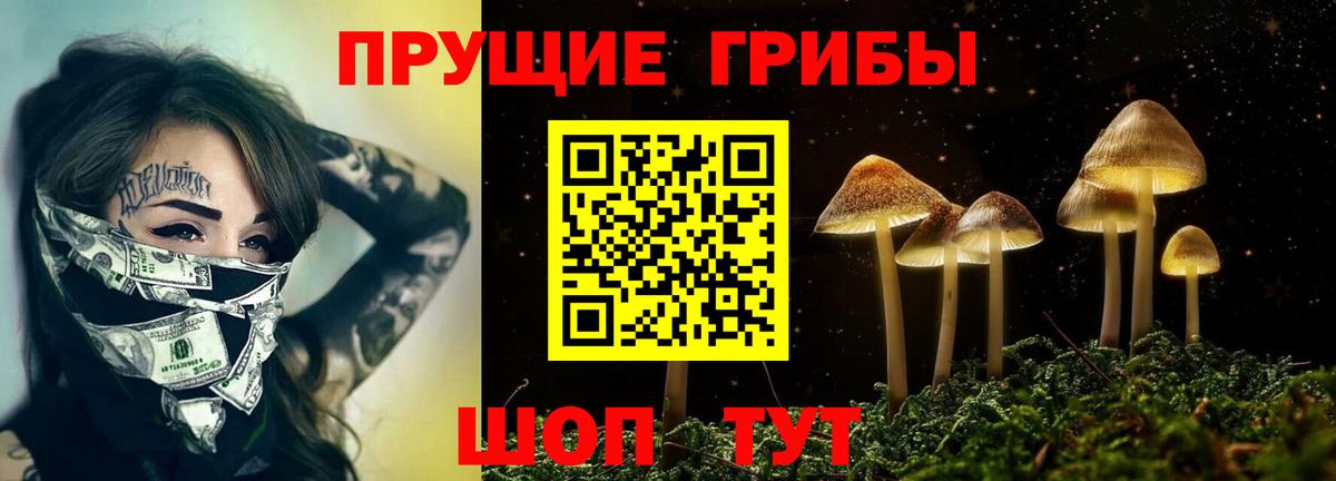 Новый Уренгой  Псилоцибиновые грибы GOLDEN TEACHER  Вход с VPN  Галлюциногенные грибы Psilocybine cubensis 